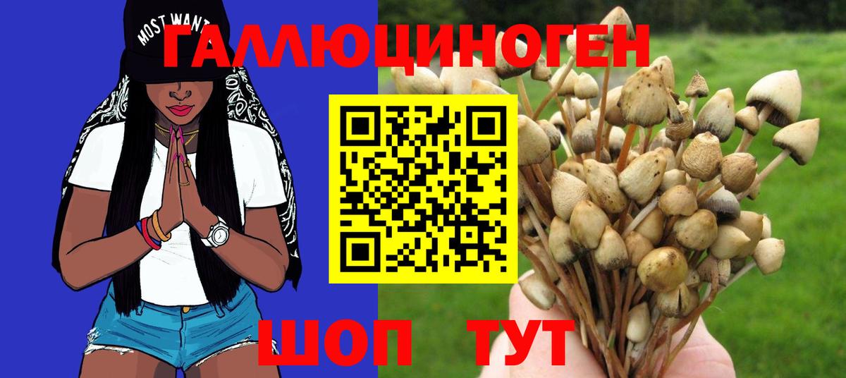 Галлюциногенные грибы ЛСД Удомля