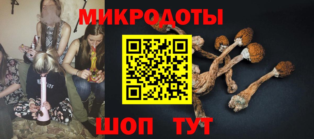 Псилоцибиновые грибы Psilocybine cubensis  Удомля 