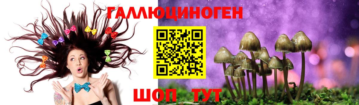 закладки  Галлюциногенные грибы прущие грибы  Вход с VPN  Удомля 